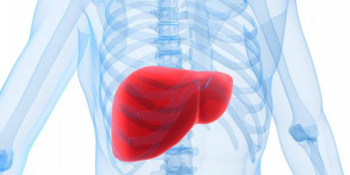 Cirrosis hepática 